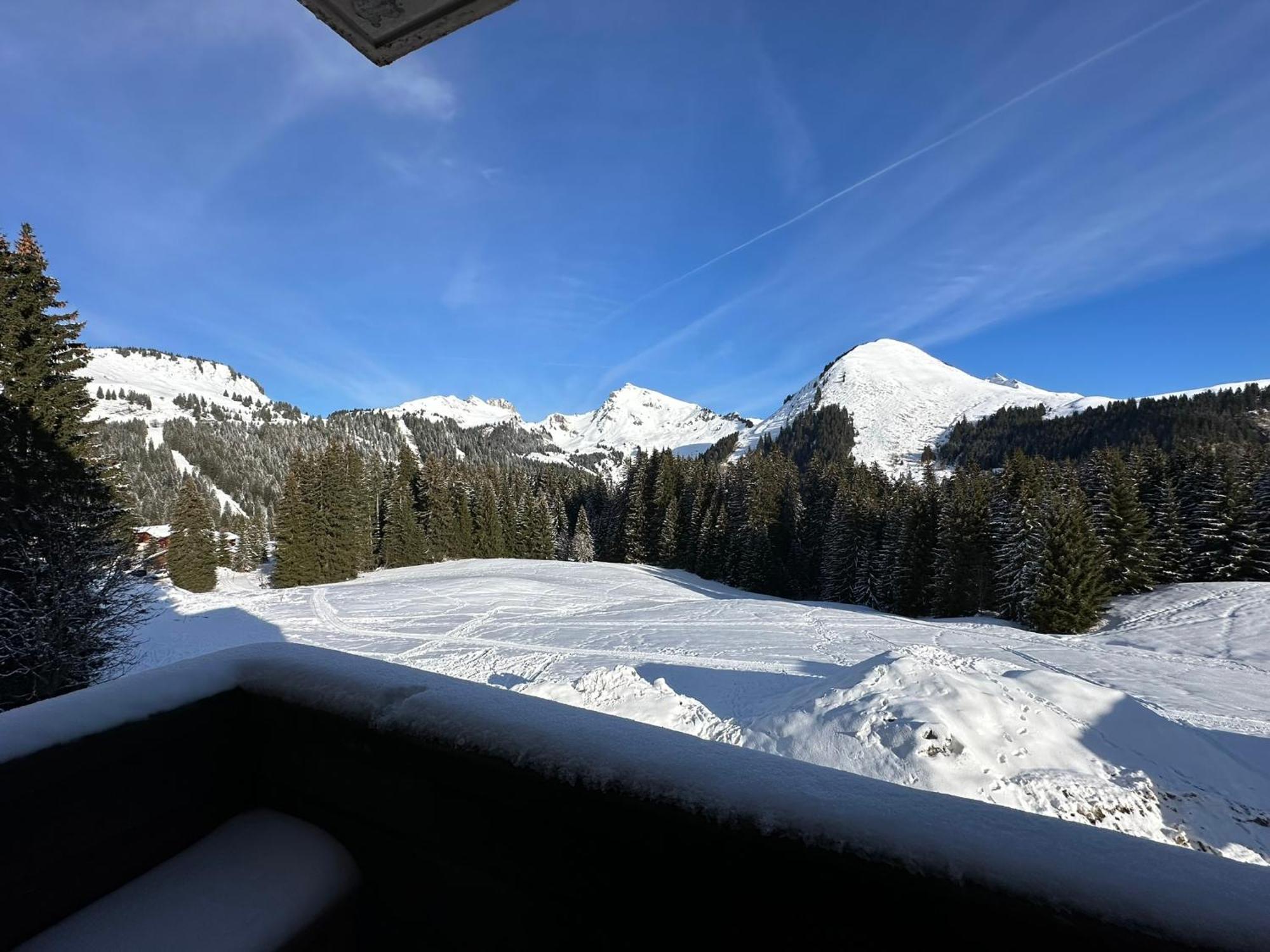 Studio Au Coeur Du Praz-De-Lys - Les Pralyssimes Le Praz de Lys Esterno foto