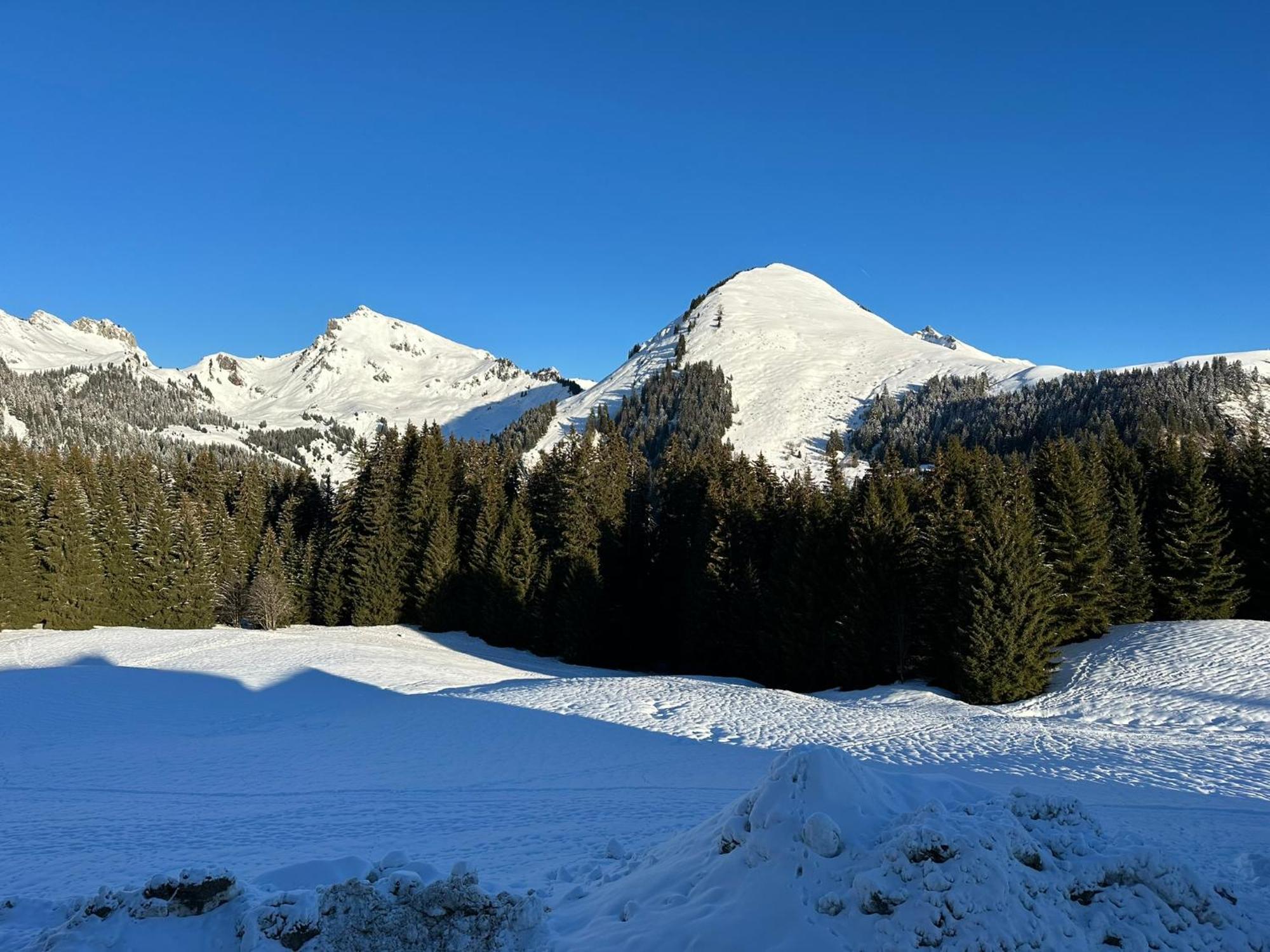 Studio Au Coeur Du Praz-De-Lys - Les Pralyssimes Le Praz de Lys Esterno foto