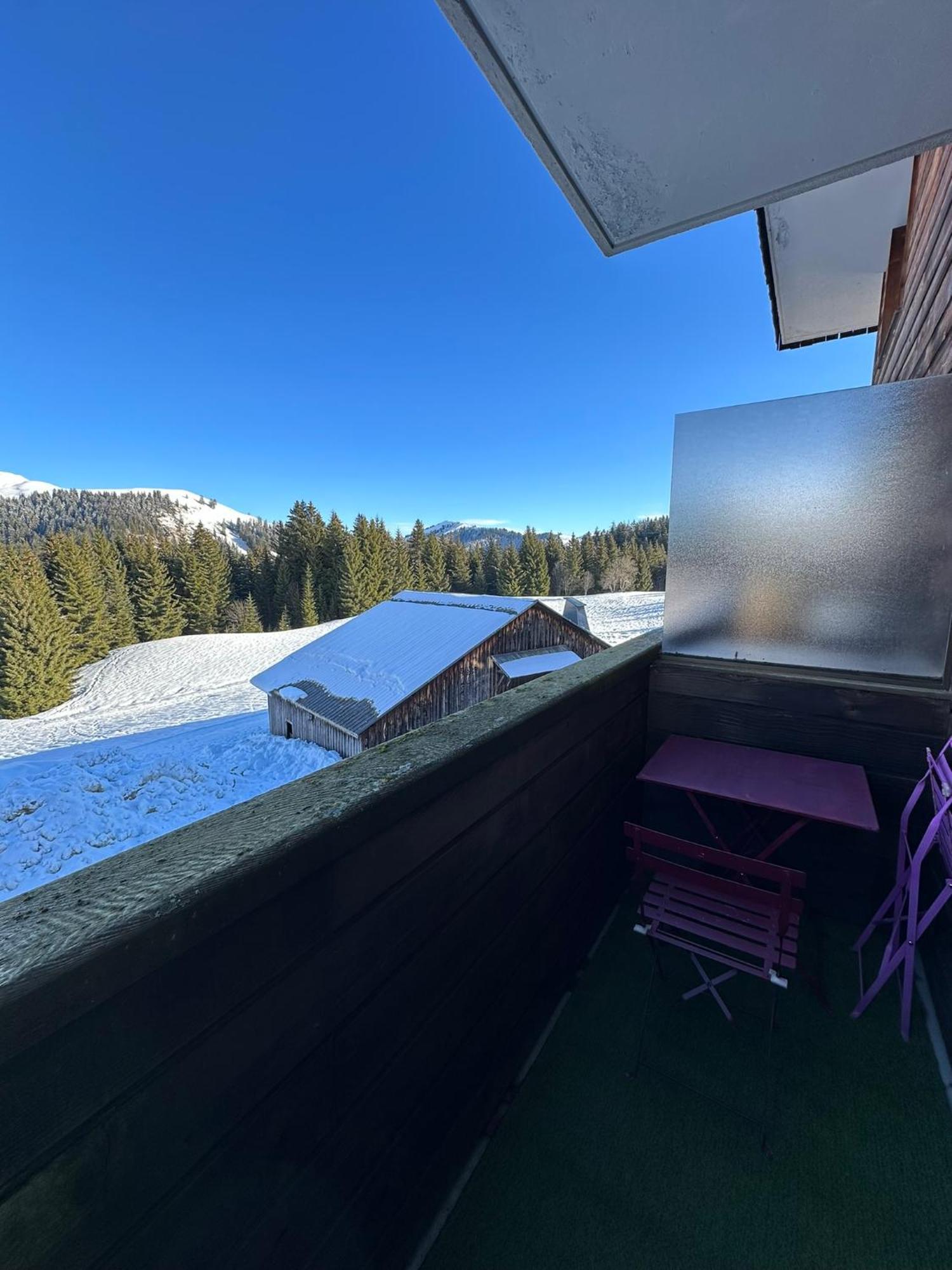 Studio Au Coeur Du Praz-De-Lys - Les Pralyssimes Le Praz de Lys Esterno foto