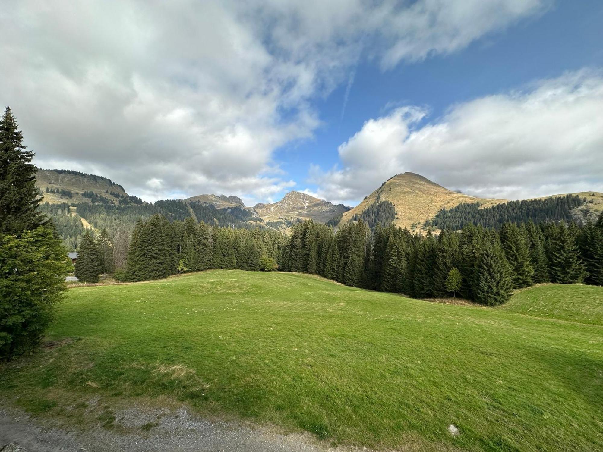 Studio Au Coeur Du Praz-De-Lys - Les Pralyssimes Le Praz de Lys Esterno foto