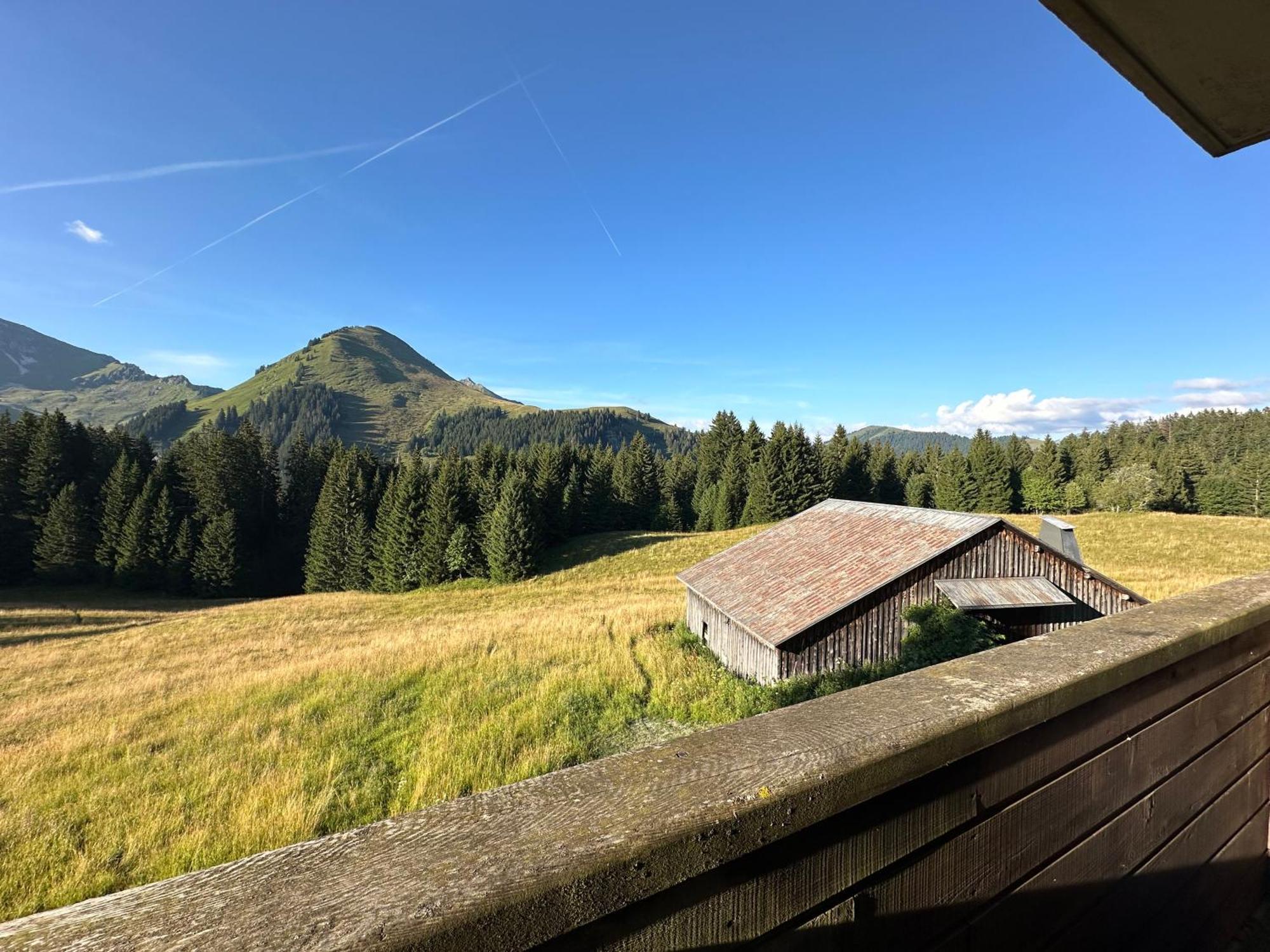 Studio Au Coeur Du Praz-De-Lys - Les Pralyssimes Le Praz de Lys Esterno foto